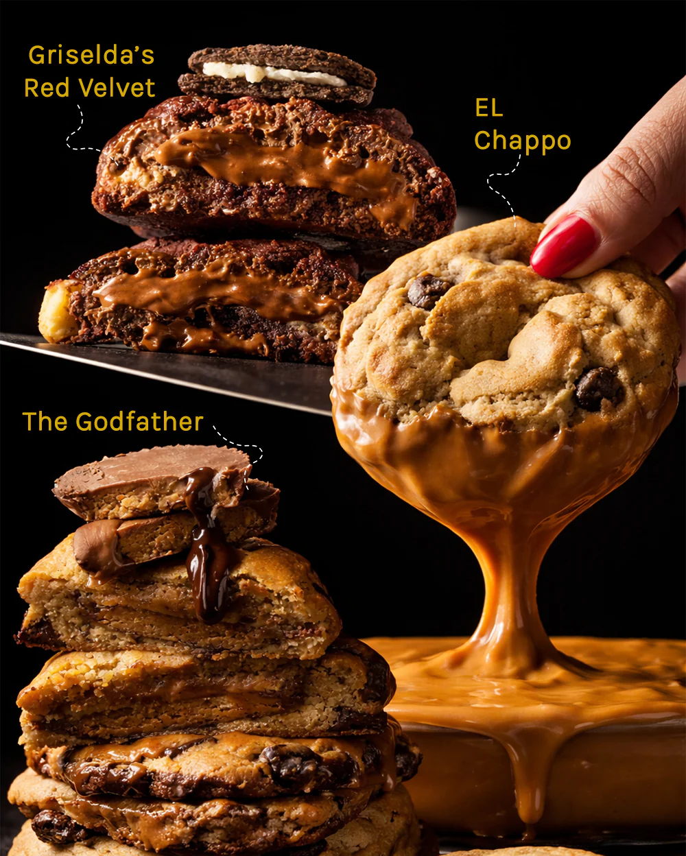 TASTE SHARKS FAVOURITE COOKIES